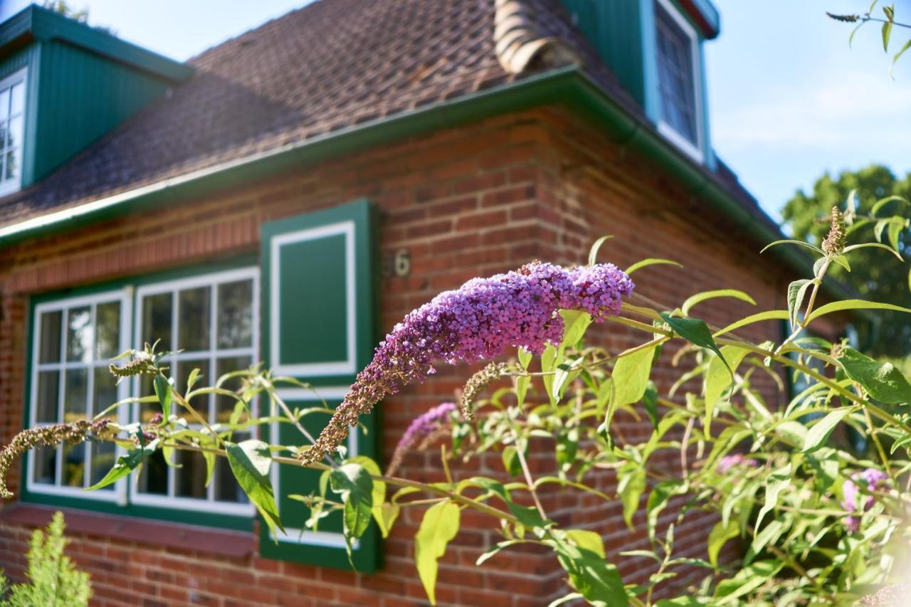 Gemütliches Landhaus in Harmsdorf Exterior foto